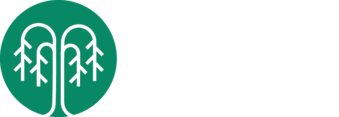 Vitolu Diki logo